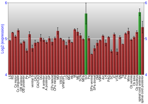 Multi-state expression graph