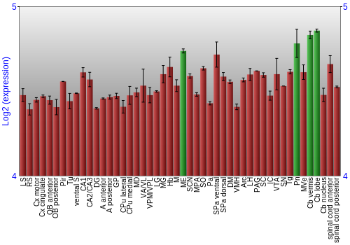 Multi-state expression graph