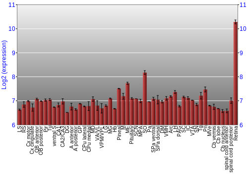 Expression graph