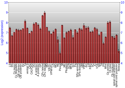 Expression graph