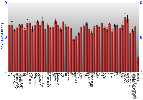 Expression graph