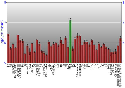 Multi-state expression graph