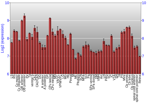 Expression graph