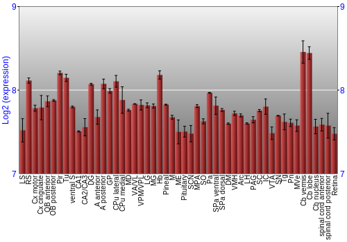 Expression graph