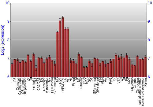 Expression graph