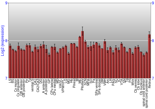 Expression graph