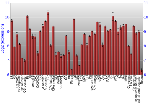 Expression graph