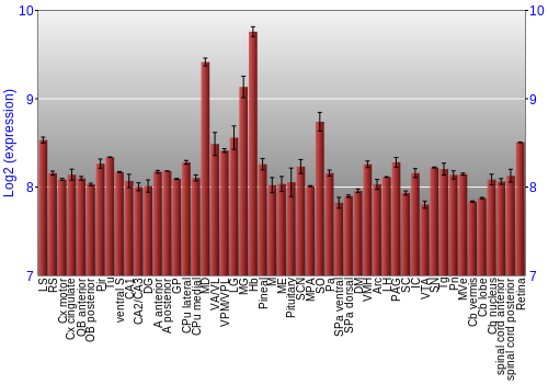 Expression graph