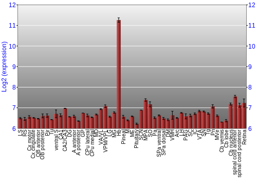 Expression graph