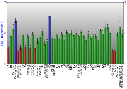 Multi-state expression graph