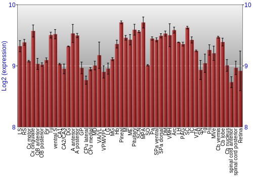 Expression graph