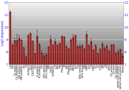 Expression graph