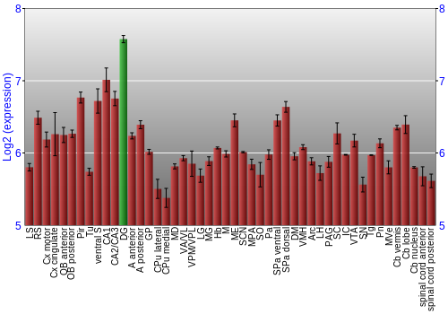 Multi-state expression graph