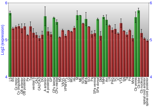 Multi-state expression graph