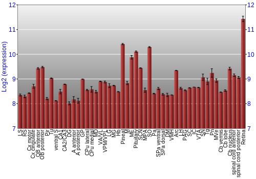 Expression graph