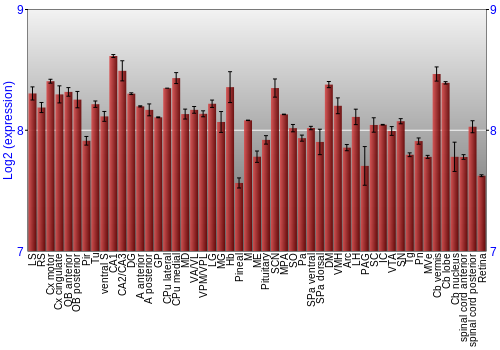 Expression graph