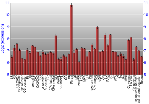 Expression graph