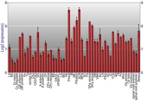 Expression graph