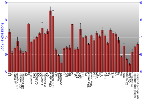 Multi-state expression graph
