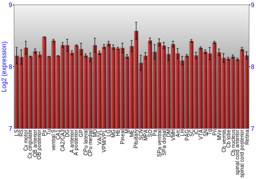 Expression graph