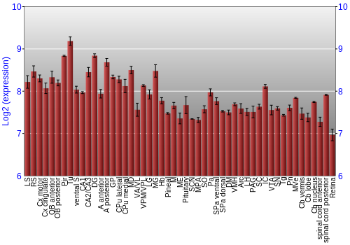 Expression graph