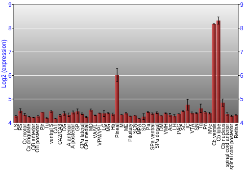Expression graph