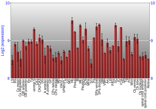 Expression graph