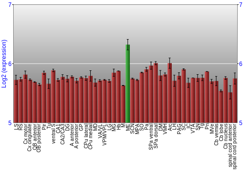 Multi-state expression graph