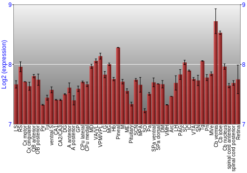 Expression graph