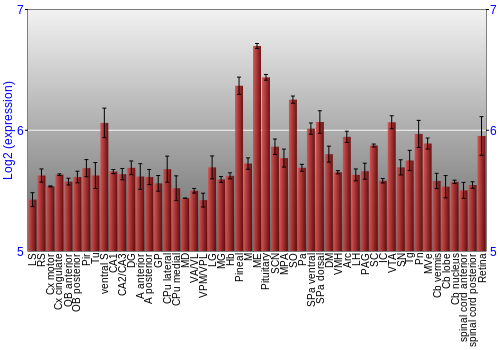 Expression graph
