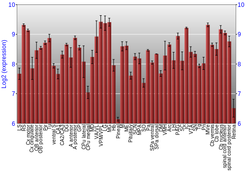 Expression graph
