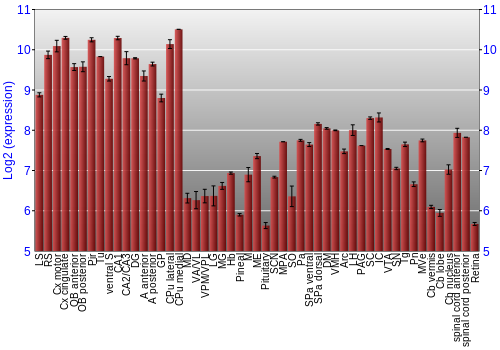 Expression graph