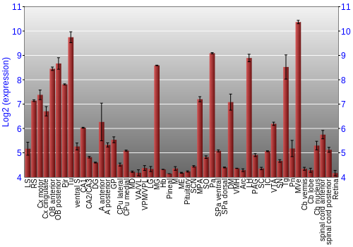 Expression graph