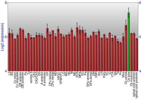 Multi-state expression graph