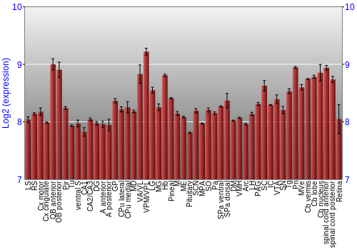 Expression graph
