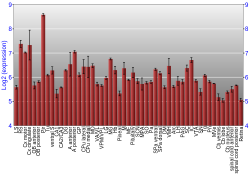 Expression graph