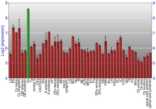 Multi-state expression graph