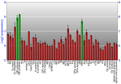 Multi-state expression graph