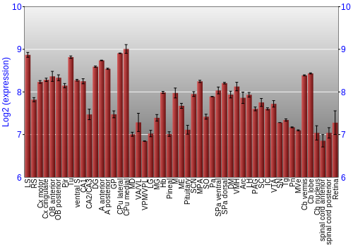 Expression graph