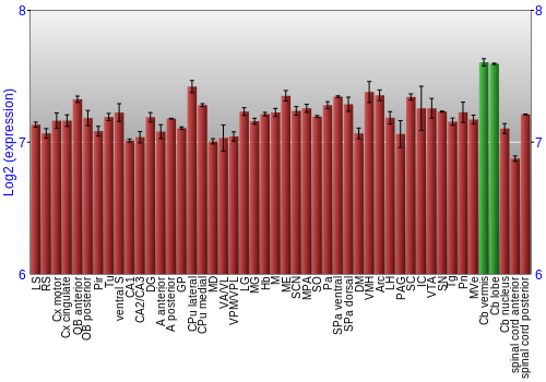 Multi-state expression graph