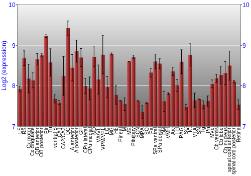 Expression graph