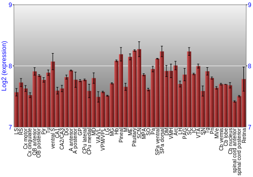 Expression graph