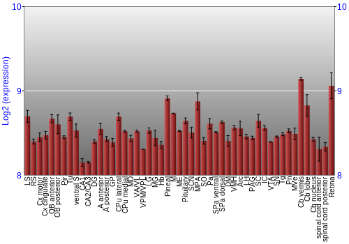 Expression graph