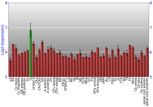 Multi-state expression graph
