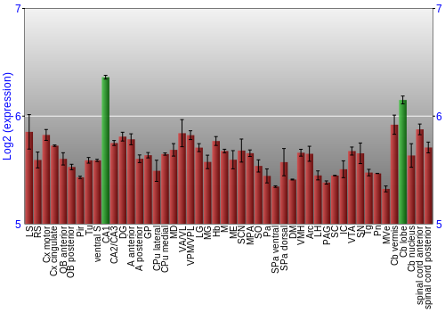 Multi-state expression graph
