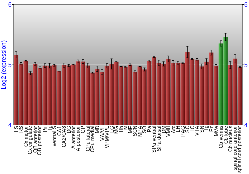 Multi-state expression graph