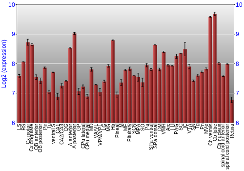Expression graph