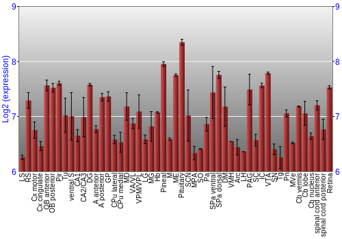 Expression graph