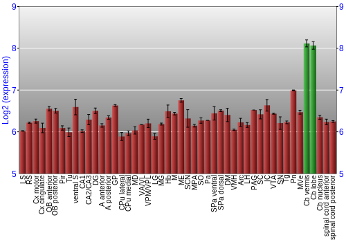 Multi-state expression graph