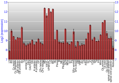 Expression graph